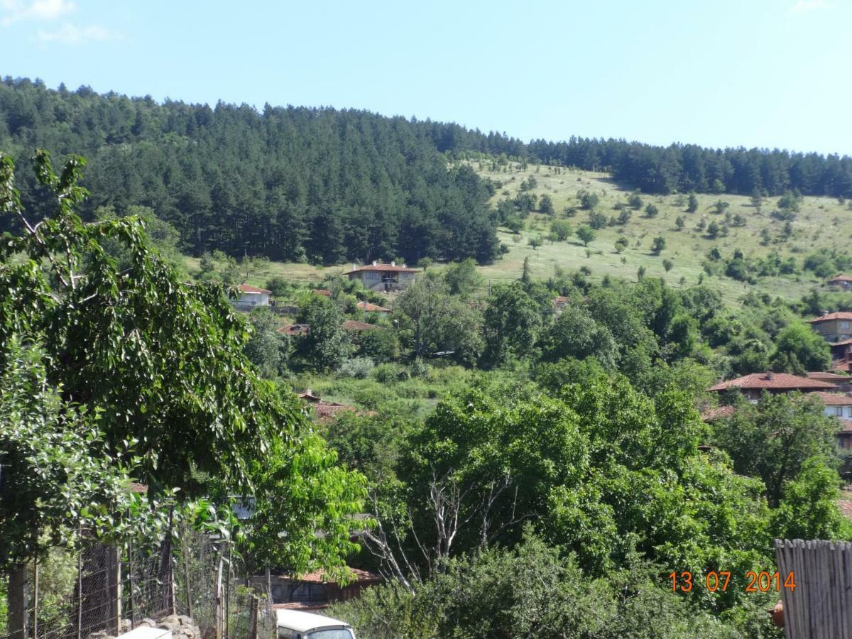 Guest House Zarkova Kushta Жеравна Экстерьер фото
